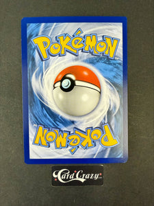 Charizard V Sword & Shield Promo  Promo  SWSH260