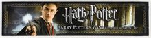 Load image into Gallery viewer, Daniel Radcliffe Signed "Harry Potter" Wand